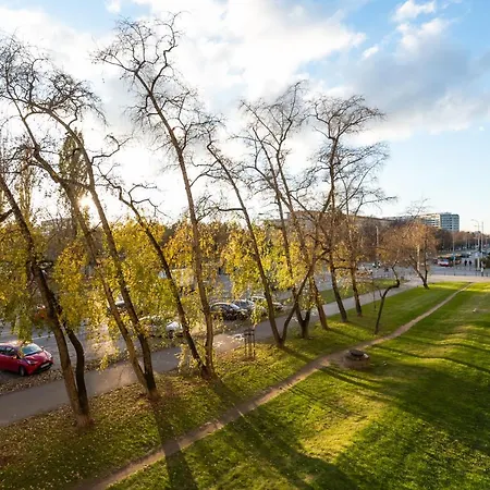 Ochota Sunny By Bookinghost *